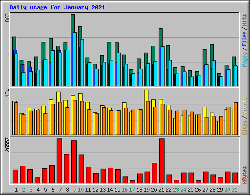 Daily usage for January 2021