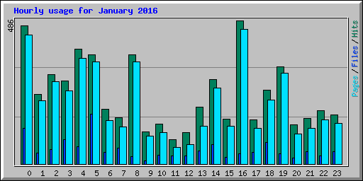 Hourly usage for January 2016