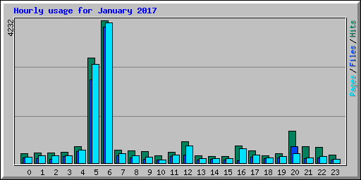 Hourly usage for January 2017