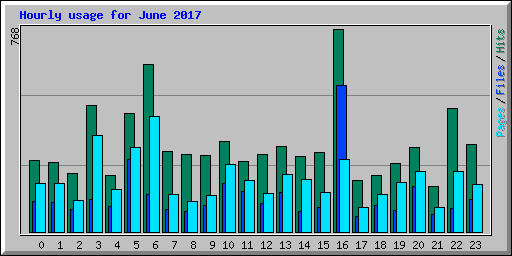 Hourly usage for June 2017