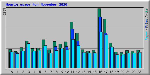 Hourly usage for November 2020