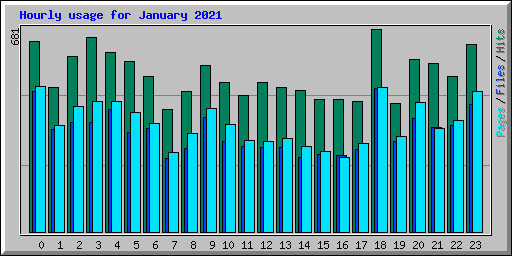 Hourly usage for January 2021