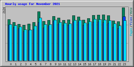 Hourly usage for November 2021