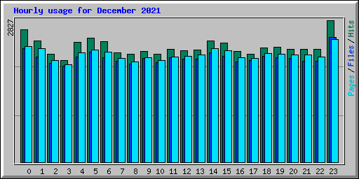 Hourly usage for December 2021