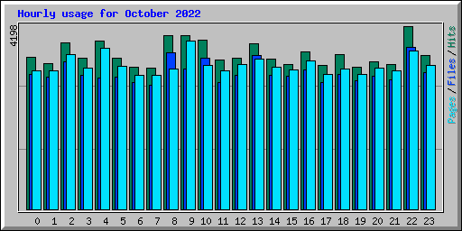 Hourly usage for October 2022