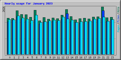 Hourly usage for January 2023