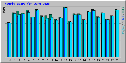 Hourly usage for June 2023