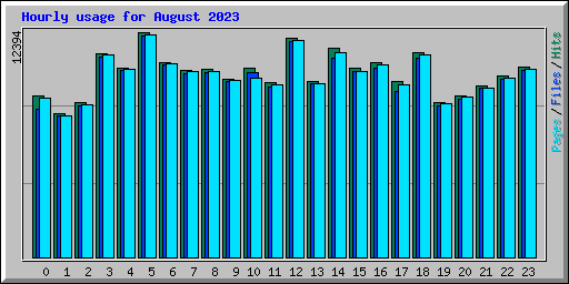 Hourly usage for August 2023