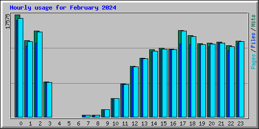 Hourly usage for February 2024