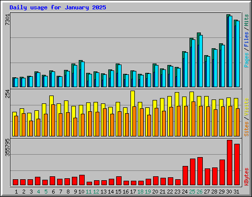 Daily usage for January 2025