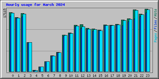 Hourly usage for March 2024