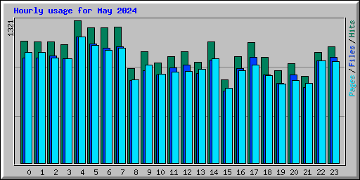 Hourly usage for May 2024