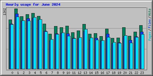 Hourly usage for June 2024