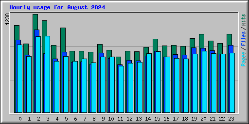 Hourly usage for August 2024