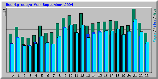 Hourly usage for September 2024