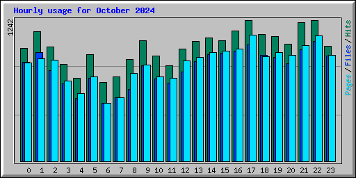 Hourly usage for October 2024