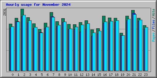 Hourly usage for November 2024