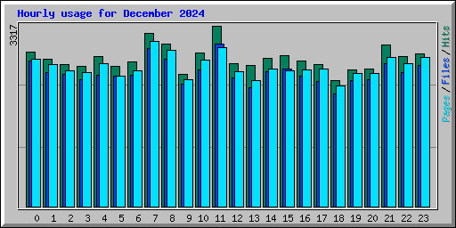 Hourly usage for December 2024