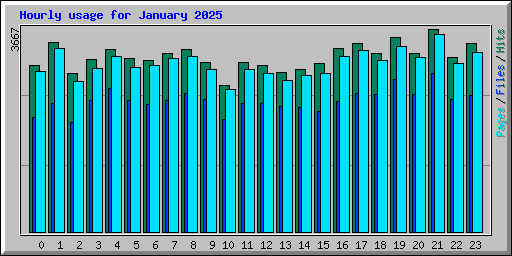 Hourly usage for January 2025