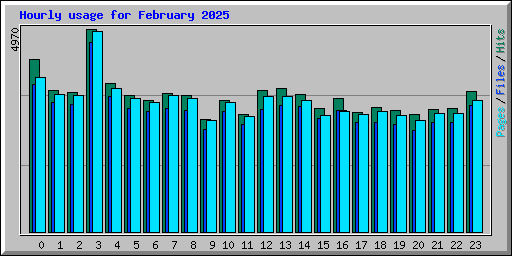 Hourly usage for February 2025