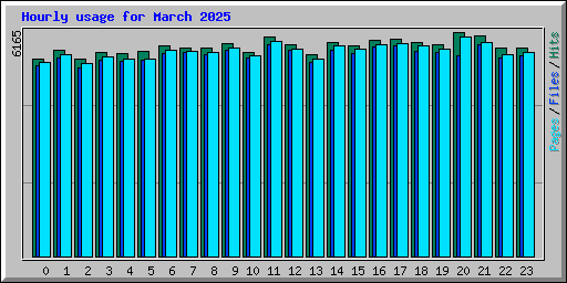 Hourly usage for March 2025