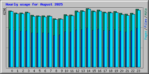 Hourly usage for August 2025