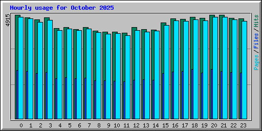 Hourly usage for October 2025
