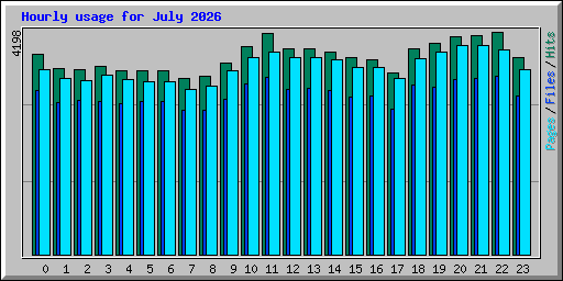 Hourly usage for July 2026